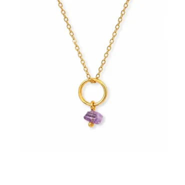 Pria - amethist ketting goud